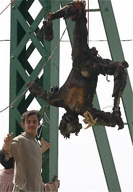 An Iraqi boy flashes the victory sign near a charred body of an American civilian hanging from a bridge over the Euphrates River, while defiant residents celebrated the murder and mutilation of the four American contractors ambushed by rebels, Fallujah, Iraq, March 31, 2004.