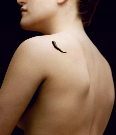 A leech