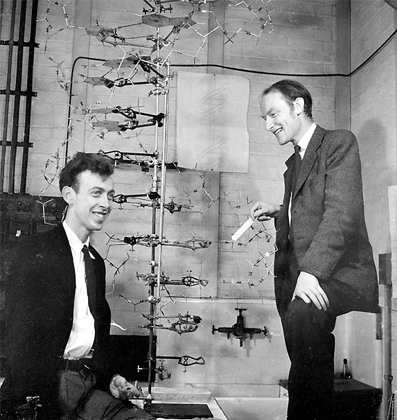 James Watson (L) and Francis Crick with the original 1953's DNA demonstration model.