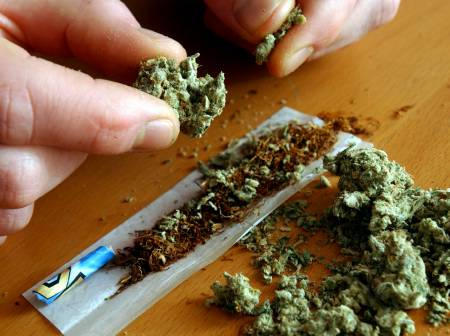 A man makes a cannabis cigarette, January 24, 2004.