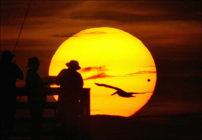 Fishermen, and a pelican, went about their routine while Venus crept slowly across the rising sun, Daytona Beach, Florida, June 8, 2004.