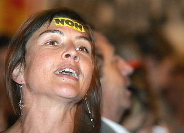 A 'No' vote partisan celebrates following the referendum on the European Union constitution in which French voters massively rejected the EU's first ever constitution, Toulouse, May 29, 2005.