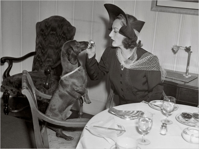 Actress Joan Crawford shares a bite with her dog, 1939.
