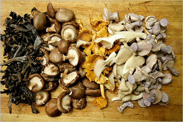 Local wild mushrooms at English countryside