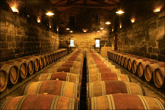 2003 vintage matures in oak barrels, Bordeaux, France, August 2004.