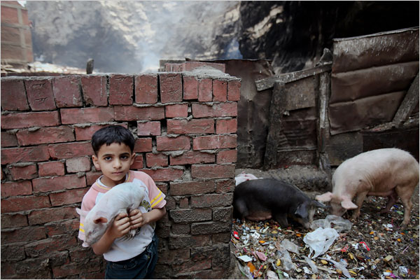 A young boy holds a piglet before collecting pigs for the final full annihilation as -following anti-Christian propaganda by Muslim Brotherhood, government of Egypt ordered to kill all of the country pigs and enforcing the entire industry to vanish, Cairo, May 2009.