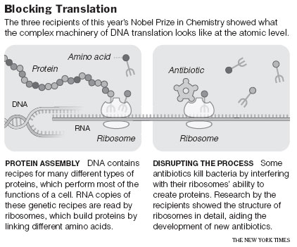 The trio of Venkatraman Ramakrishnan of the M.R.C. Laboratory of Molecular Biology in Cambridge, England; Thomas A. Steitz of Yale University; and Ada E. Yonath of the Weizmann Institute of Science in Rehovot, Israel; win the 2009 Nobel Prize for Chemistry for their independently ribosome researching, October 7, 2009.