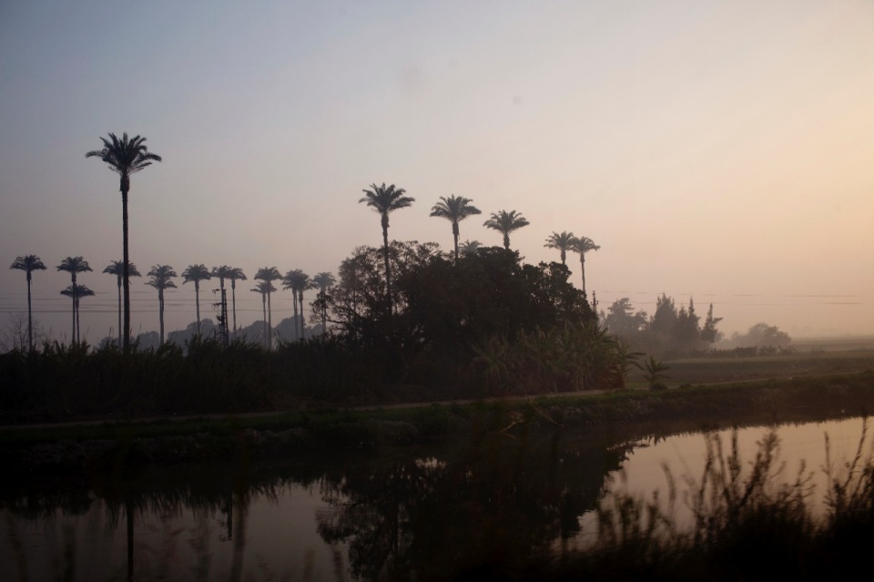 The countryside along the railway between Alexandria and Cairo, early February 2011.