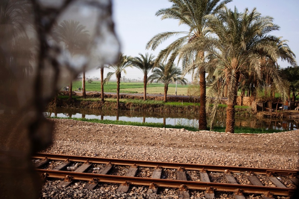 Palm trees line the route as the train moves from Asyut to Suhag, early February 2011.
