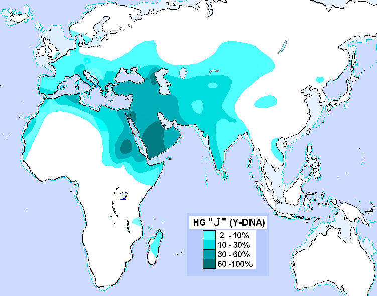 Haplogroup J (Y-DNA)